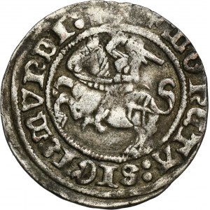 Sigismund I the Old, Halfgroat Vilnius