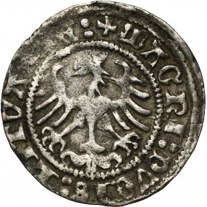 Sigismund I the Old, Halfgroat Vilnius