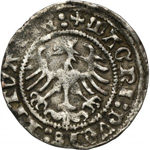 Sigismund I. der Alte, halber Pfennig Vilnius