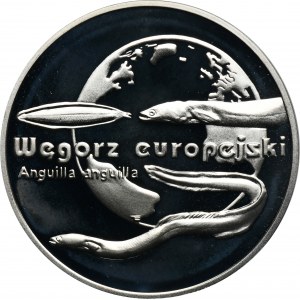 20 złotych 2003 Węgorz europejski