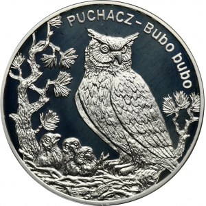 20 Gold 2005 Puchacz