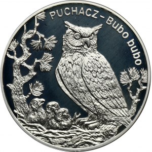 20 złotych 2005 Puchacz