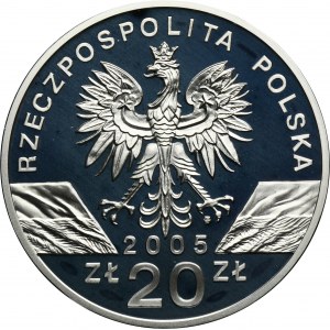 20 złotych 2005 Puchacz