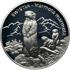 20 złotych 2006 Świstak