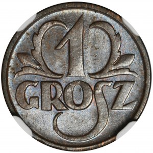 1 grosz 1927 - NGC MS64 BN