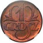 PRÓBA, 1 grosz 1923 Rewers - NGC MS65 RB - RZADKOŚĆ