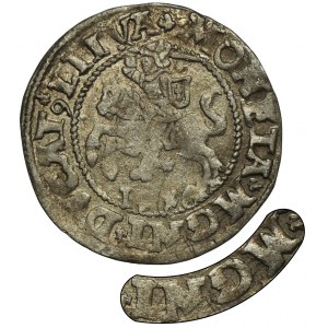 Sigismund II Augustus, Vilnius 1546 halber Pfennig - SEHR RAR, MGNI statt MAGNI