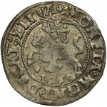 Sigismund II Augustus, Vilnius 1546 halber Pfennig - SEHR RAR, MGNI statt MAGNI