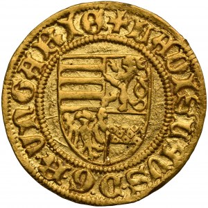 Węgry, Władysław V Pogrobowiec, Goldgulden Kremnica bez daty (1454)