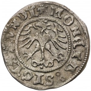 Sigismund I the Old, 1/2 Groschen Krakau 1511