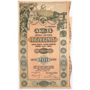 Trzebinia S.A. Factory of Agricultural Machines and Tools Iron and Metal Foundry, 200 kr 1919