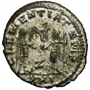 Roman Imperial, Probus, Antoninianus