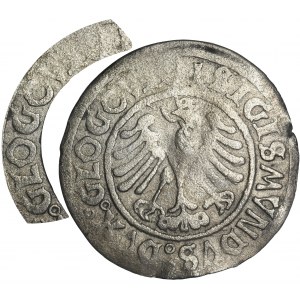 Sigismund I the Old, Groschen Glogau 1506