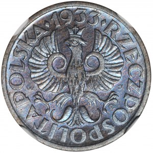 1 grosz 1933 - NGC MS66 BN