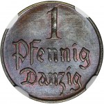 Freie Stadt Danzig, 1 Fenig 1923 - NGC MS66 BN