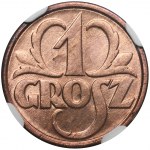 1 grosz 1928 - NGC MS66 RD