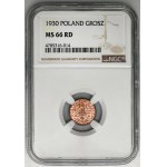 1 penny 1930 - NGC MS66 RD - RARE