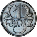 1 grosz 1928 - NGC MS66 BN