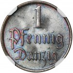 Freie Stadt Danzig, 1 Fenig 1937 - NGC MS66 BN