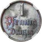 Free City of Danzig, 1 pfennig 1937 - NGC MS66 BN