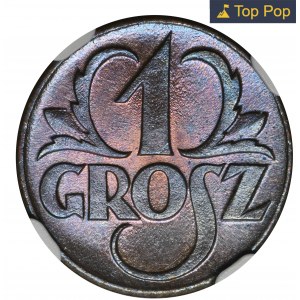 1 grosz 1923 - NGC MS67 BN