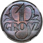 1 grosz 1923 - NGC MS67 BN