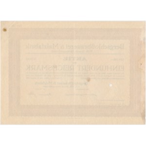 Bergschlosbrauerei &amp; Malzfabrik, share 100 marks 1928