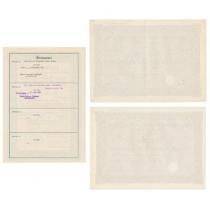 Berlin Gubener Hutfabrik Aktiengesellschaft, shares 100-500 marks 1928 (3 pieces).