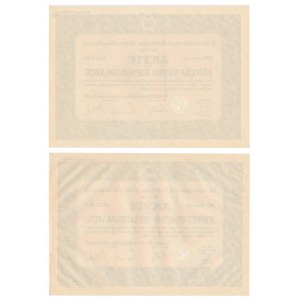 Elektrizitatswerk Schlesien Aktiengesellschaft, shares 1,000 marks 1938 (2 pieces).