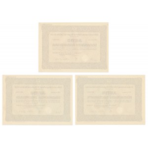 Schlesische Aktiengesellschaft, action 100-500 marks 1943 (3 pieces).