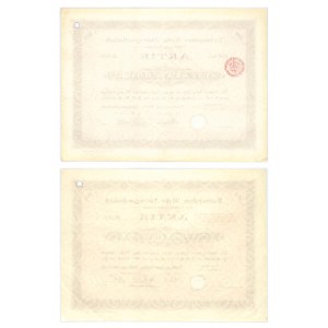 Tschopelner Werke Aktiengesellschaft, shares of 1,000 marks 1906-1920 (2 pieces).