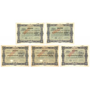 Vereinigten Konigs- und Laurahutte, shares of 1,200 marks 1922-1923 (5 pieces).