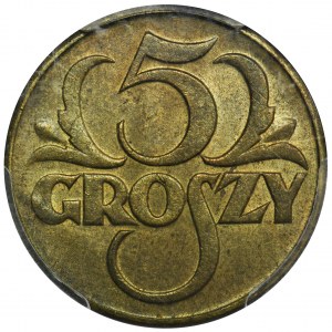 5 groszy 1923 Mosiądz - PCGS MS65