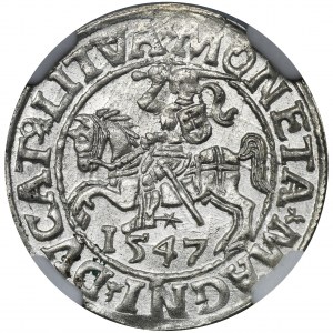 Sigismund II Augustus, halber Pfennig Vilnius 1547 - L/LITVA - NGC UNC DETAILS