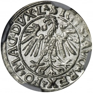 Sigismund II August, 1/2 Groschen Vilnius 1547 - L/LITVA - NGC UNC DETAILS