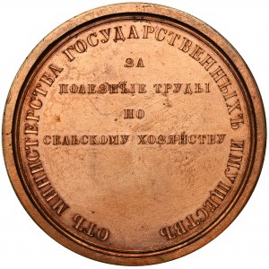 Russia, Nicholas I, Medal Award of the Ministry of State Property without date (1845)