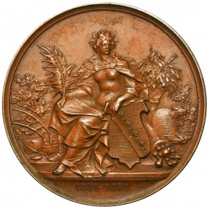 Niemcy, Saksonia, Medal na 25-lecie Rolniczego Towarzystwa Kredytowego Drezno 1891
