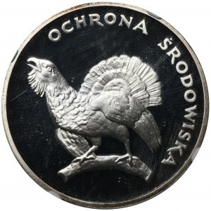 100 złotych 1980 Ochrona Środowiska Głuszec - NGC PF69 ULTRA CAMEO