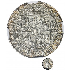 Zygmunt III Waza, Ort Bydgoszcz 1622 - NGC UNC DETAILS - PRVS M, przebitka S na V
