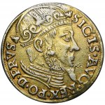 Sigismund II Augustus, Trojak Danzig 1557 - ohne Rand - RARE