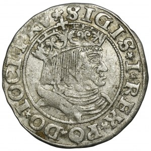 Sigismund I. der Alte, Grosz Toruń 1531 - PRV