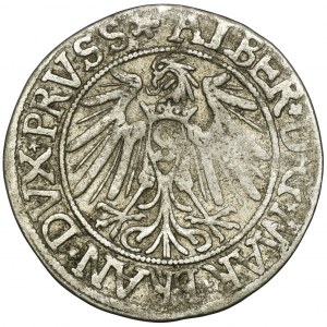 Herzogliches Preußen, Albert Hohenzollern, Grosz Königsberg 1538 - PRVSS