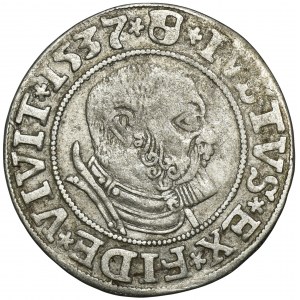 Prusy Książęce, Albert Hohenzollern, Grosz Królewiec 1537 - PRVSS