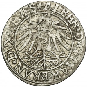 Herzogliches Preußen, Albert Hohenzollern, Grosz Königsberg 1538 - PRVSS