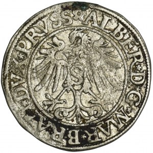 Prusy Książęce, Albert Hohenzollern, Grosz Królewiec 1535 - PRVSS
