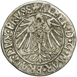 Prusy Książęce, Albrecht Hohenzollern, Grosz Królewiec 1542 - PRVSS