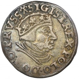 Zygmunt I Stary, Trojak Gdańsk 1539 - PRVSS
