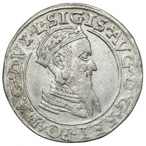 Sigismund II. Augustus, Vierfaches Vilnius 1568 - L/LITV