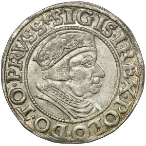 Sigismund I. der Alte, Grosz Gdańsk 1538 - PRVSS