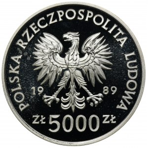 5.000 złotych 1989 Władysław II Jagiełło, Półpostać
